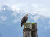 Kenai Fjords National Park