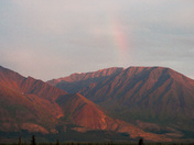 Denali National Park