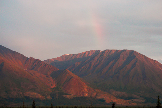 Denali National Park