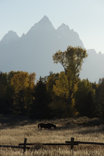 Grand Teton National Park