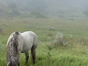 Theodore Roosevelt National Park