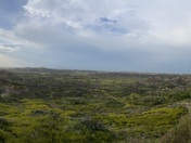 Theodore Roosevelt National Park