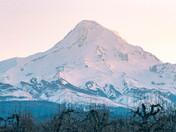 Mount Hood National Forest