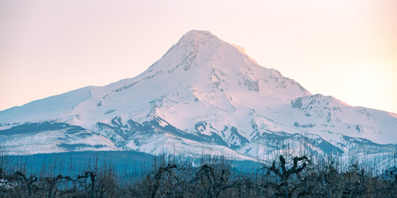 Mount Hood National Forest