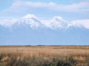 Monte Vista National Wildlife Refuge