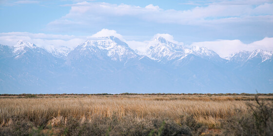 Monte Vista National Wildlife Refuge