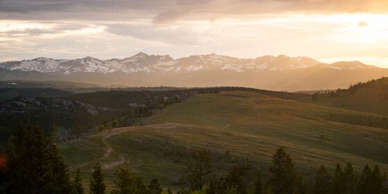 Shoshone National Forest