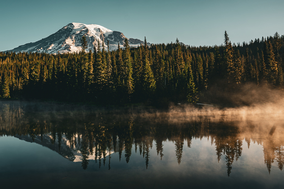 Mt Rainier National Park
