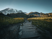 Mt. Rainier National Park 