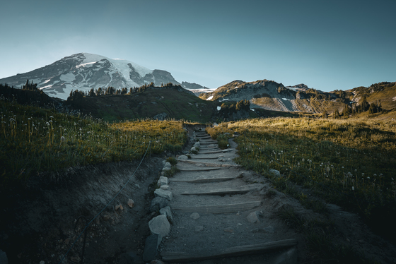 Mt. Rainier National Park 