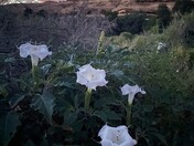 Canyonlands National Park