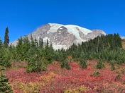 Mount Rainier National Park
