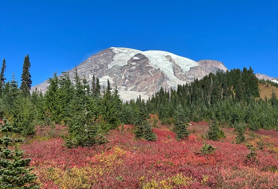 Mount Rainier National Park