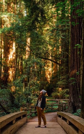 Muir Woods National Monument 