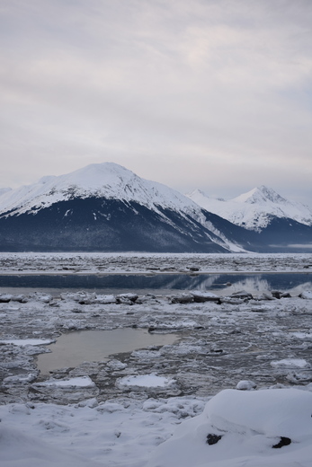 Chugach National Forest