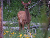 Grand Teton National Park