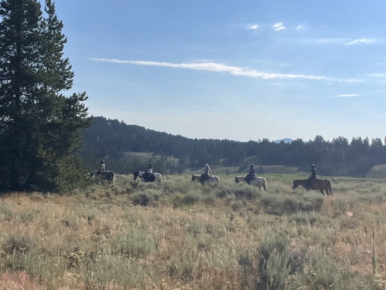 Grand Teton National Park 