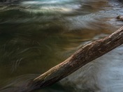 Smoky Mountain National Park