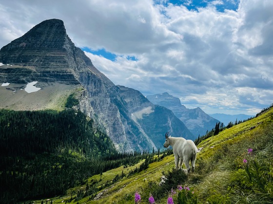 Glacier National Park