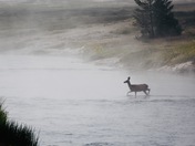 Yellowstone National Park
