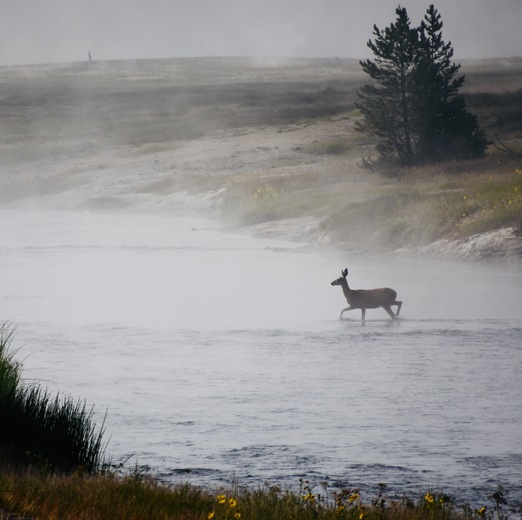 Yellowstone National Park