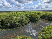Everglades National Park 