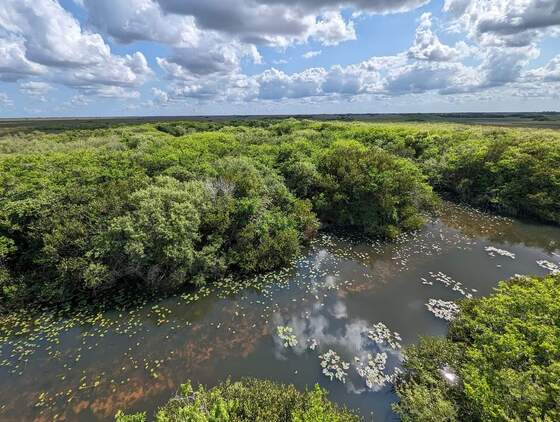Everglades National Park 