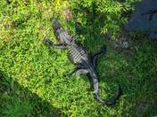 Everglades National Park