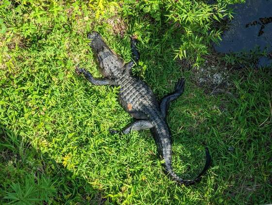 Everglades National Park