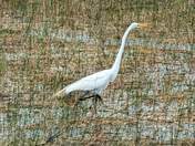 Everglades National Park 