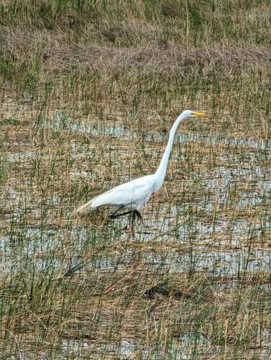Everglades National Park 