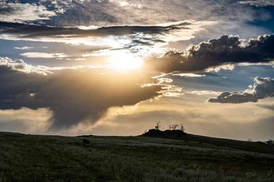 Medicine Bow National Forest