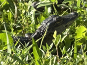 Everglades National Park