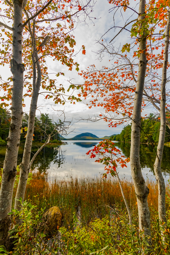 Acadia National Park