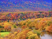 Shenandoah National Park 