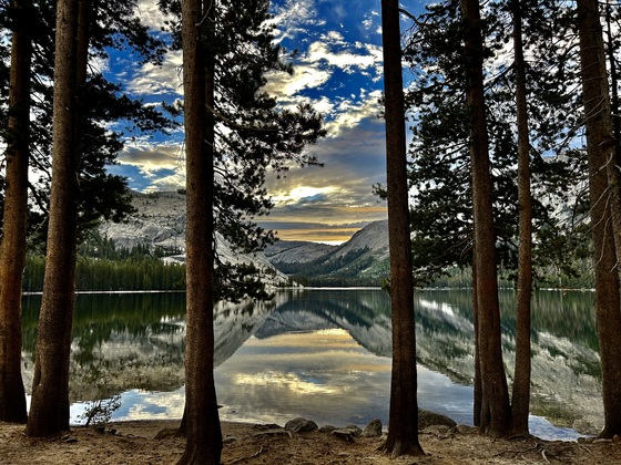 Yosemite National Park