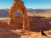 Arches National Park