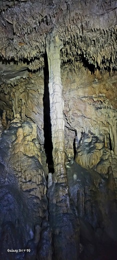 Mammoth Cave National Park