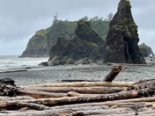 Olympic National Forest 