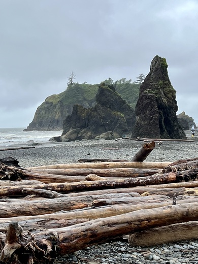 Olympic National Forest 