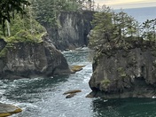 Olympic National Forest 