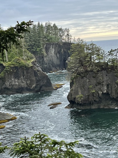 Olympic National Forest 