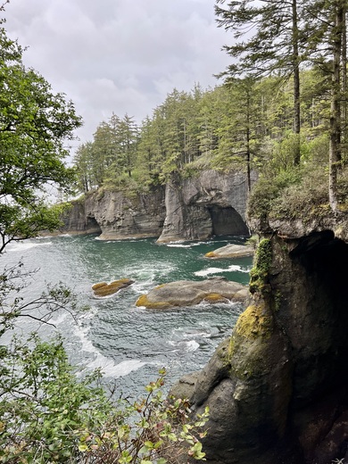Olympic National Forest 