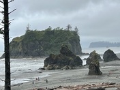 Olympic National Forest 