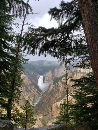 Yellowstone National Park