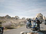 Joshua Tree National Park