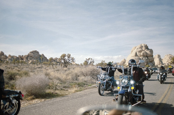 Joshua Tree National Park