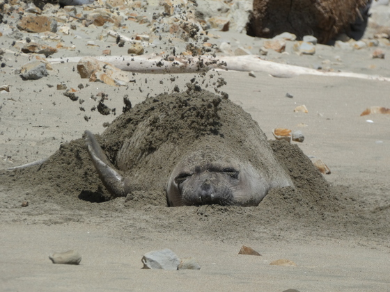 Point Reyes National Seashore