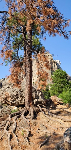 Mount Rushmore National Memorial