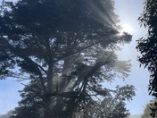 Golden Gate National Recreation Area